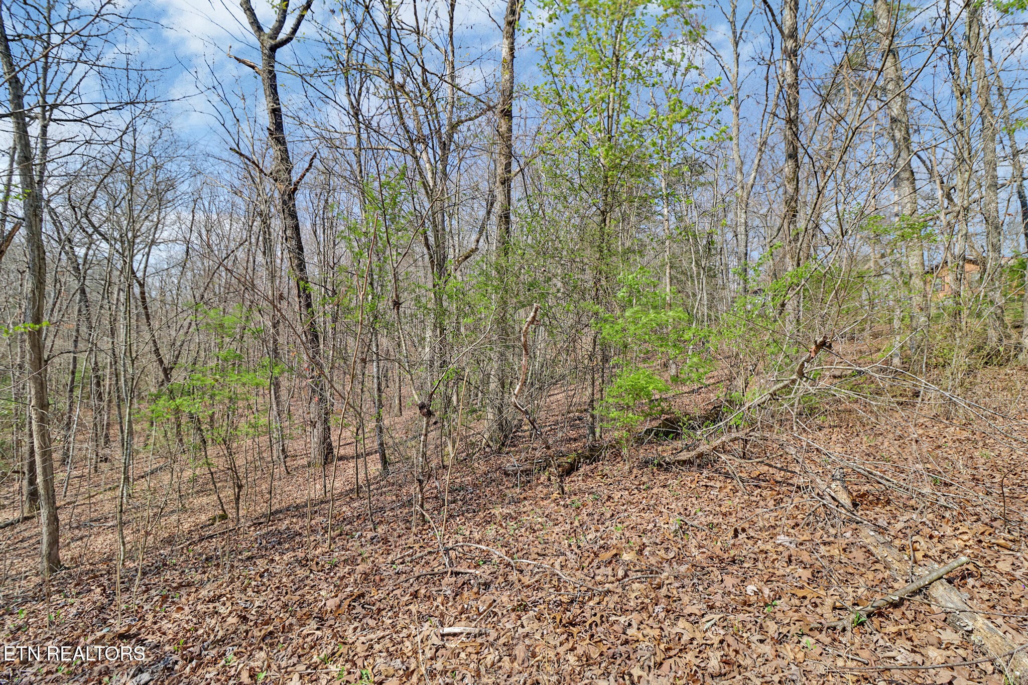 0 Thompson Road Crossville TN 38571