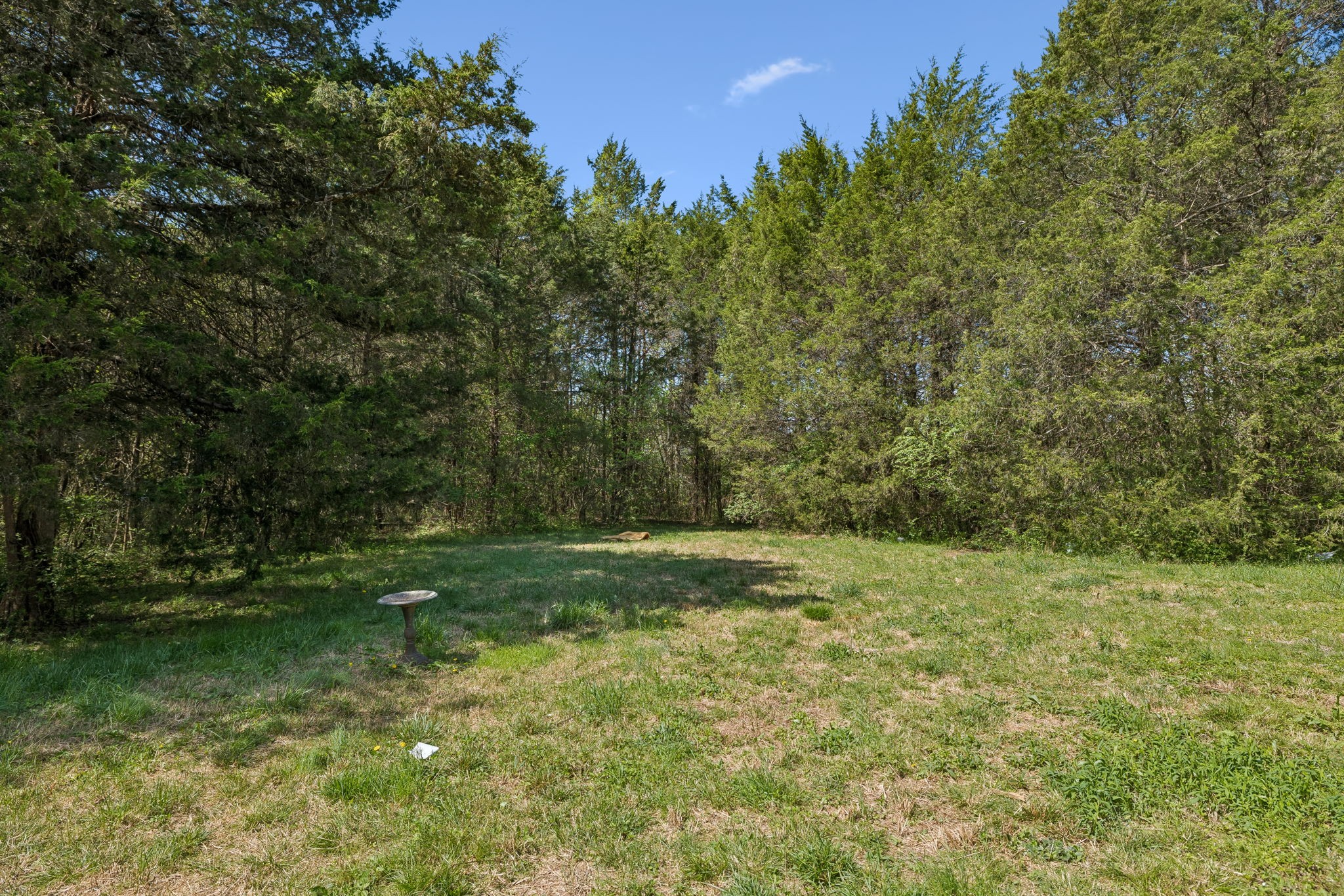 1550 Caney Court Lane Chapel Hill TN 37034