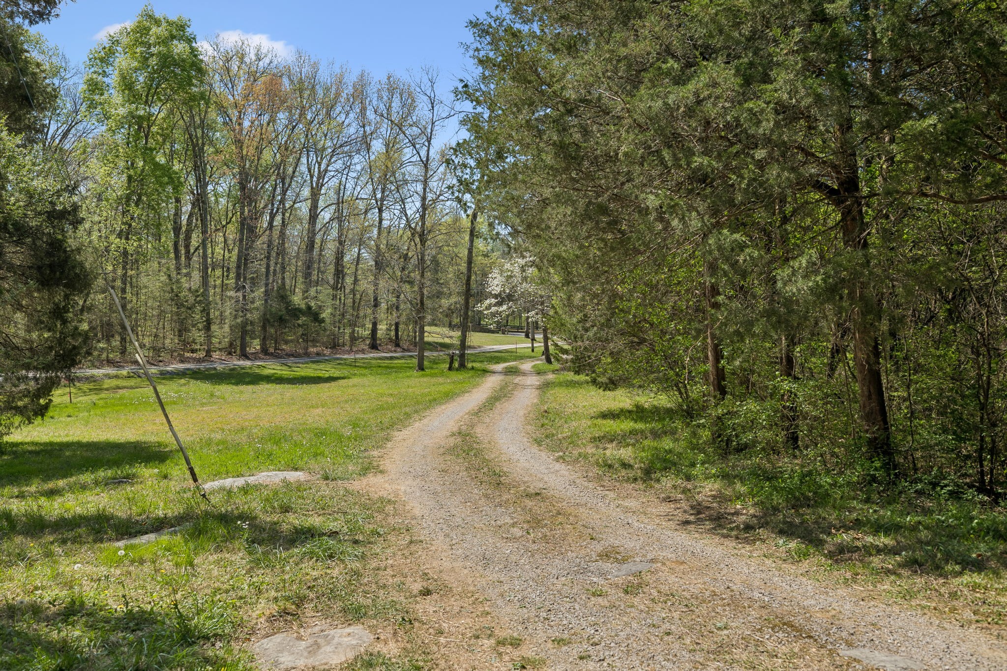 1550 Caney Court Lane Chapel Hill TN 37034