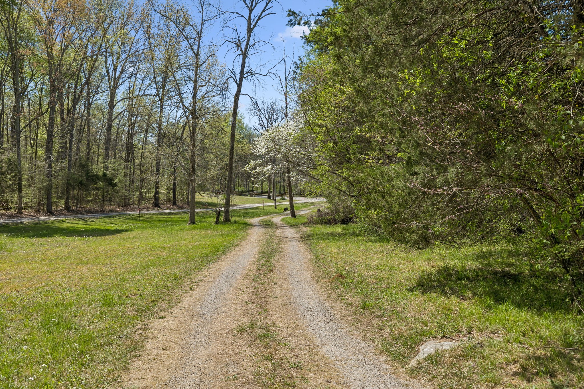 1550 Caney Court Lane Chapel Hill TN 37034