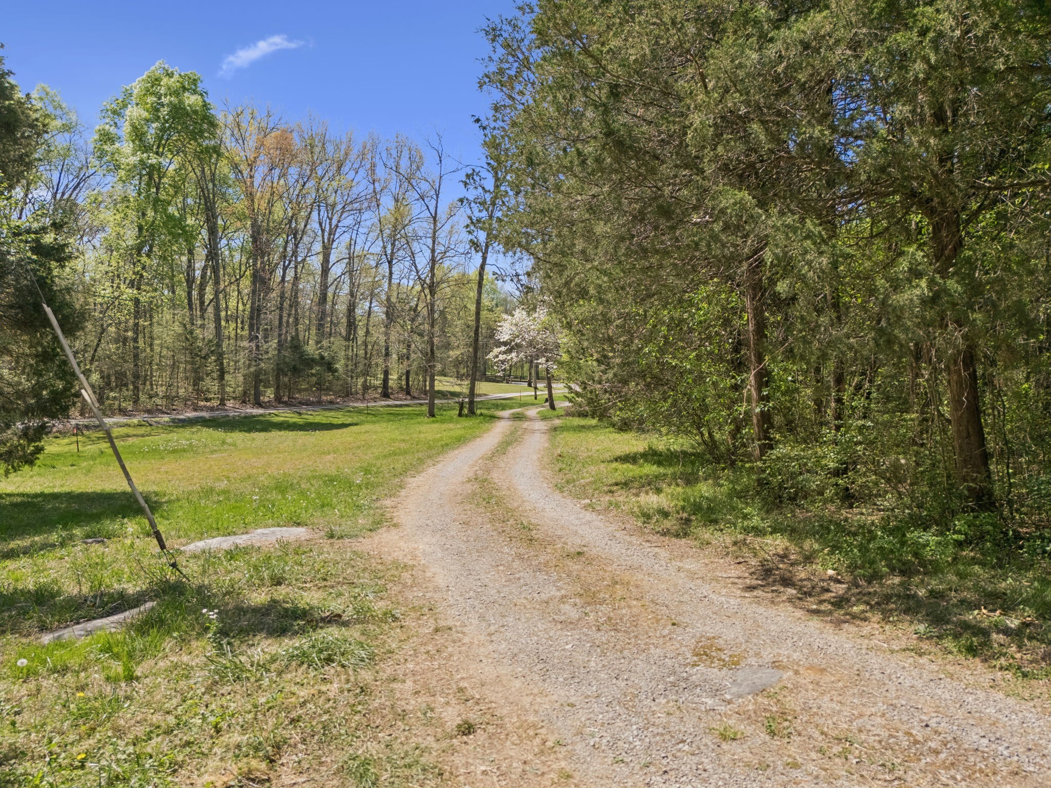 1550 Caney Court Lane Chapel Hill TN 37034