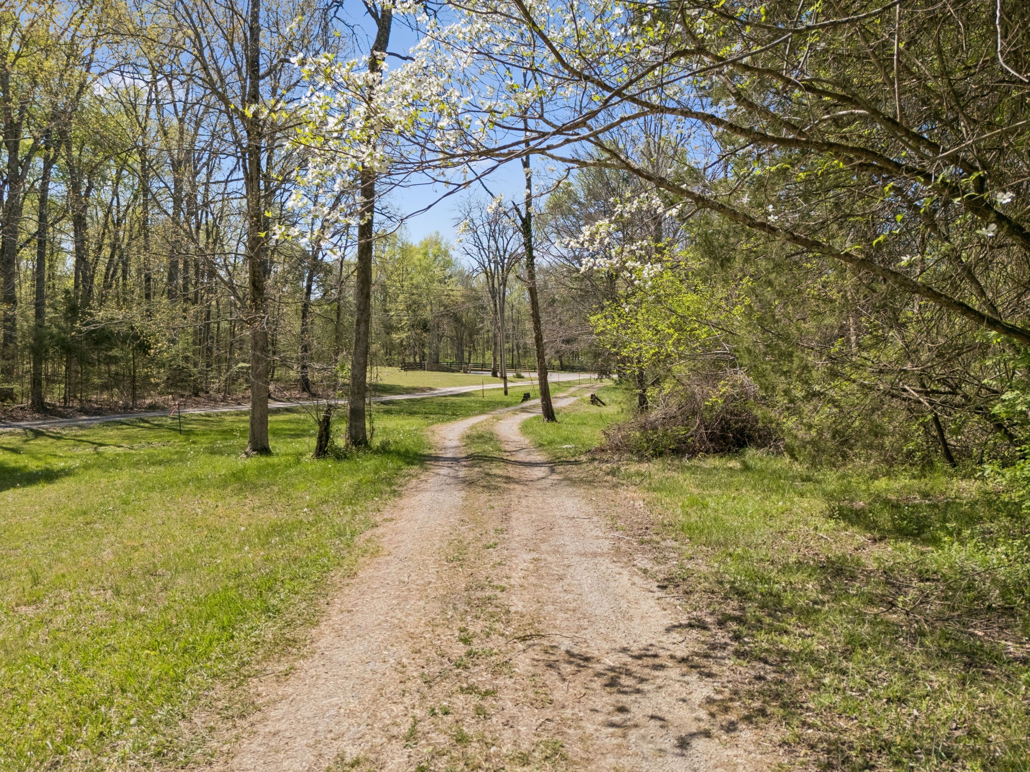 1550 Caney Court Lane Chapel Hill TN 37034
