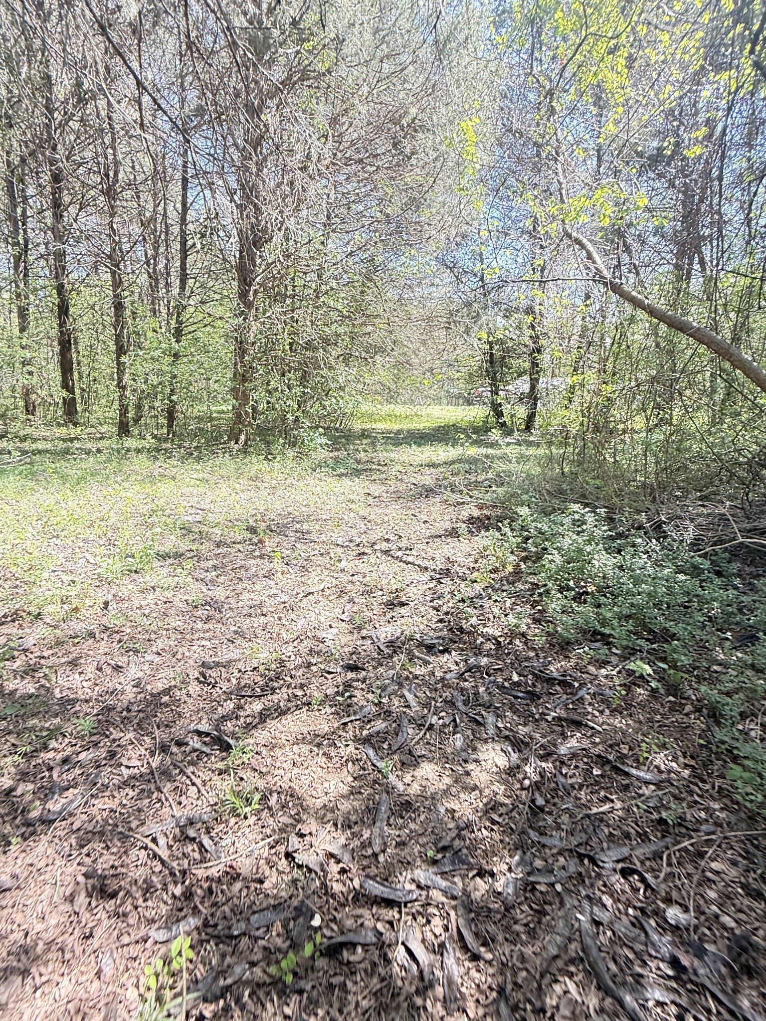 1550 Caney Court Lane Chapel Hill TN 37034