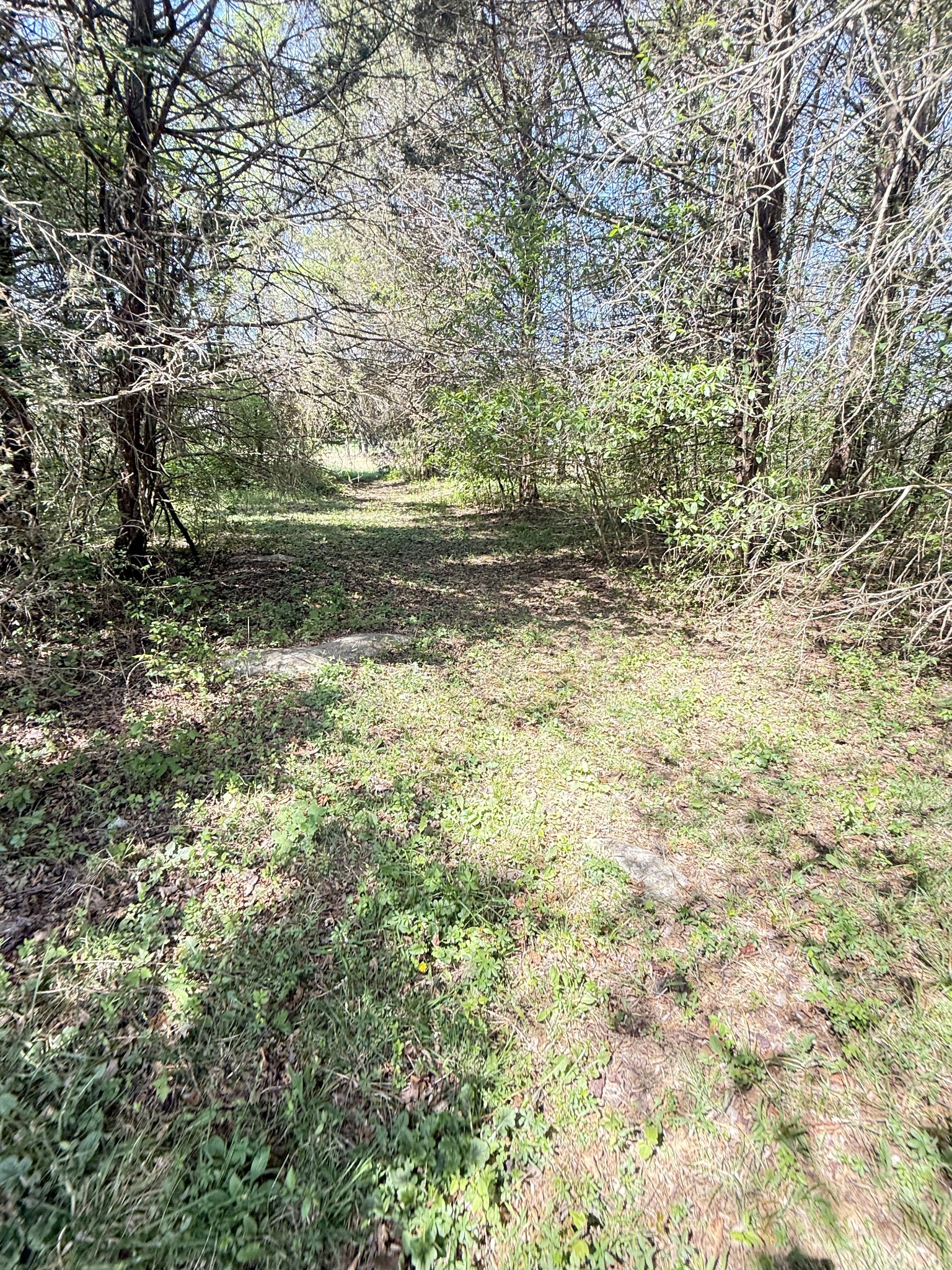 1550 Caney Court Lane Chapel Hill TN 37034