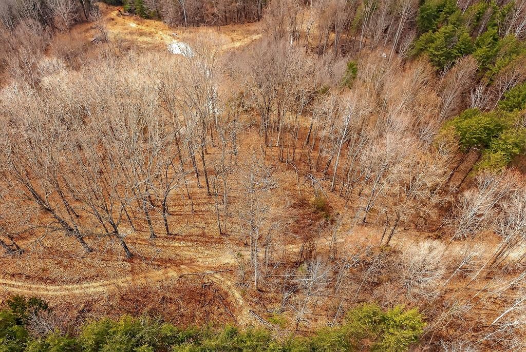 0 Sugar Camp Road Sparta TN 38583