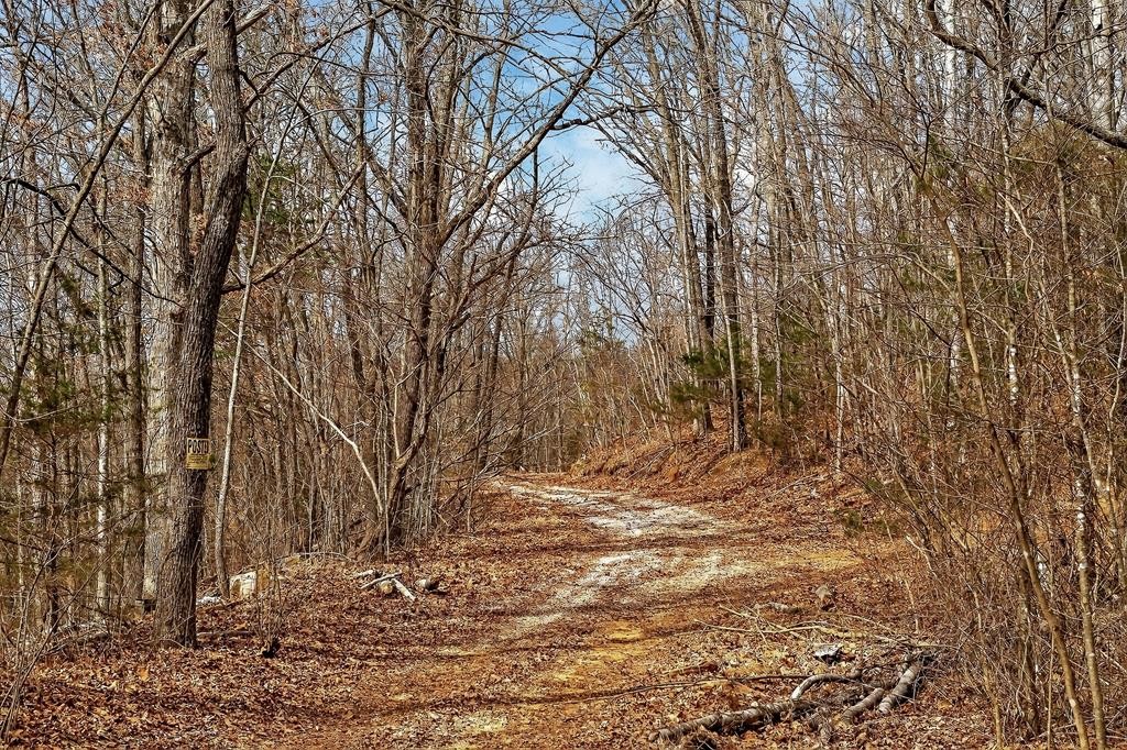 0 Sugar Camp Road Sparta TN 38583