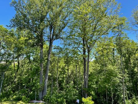 7034 Sky Meadow Drive College Grove TN 37046