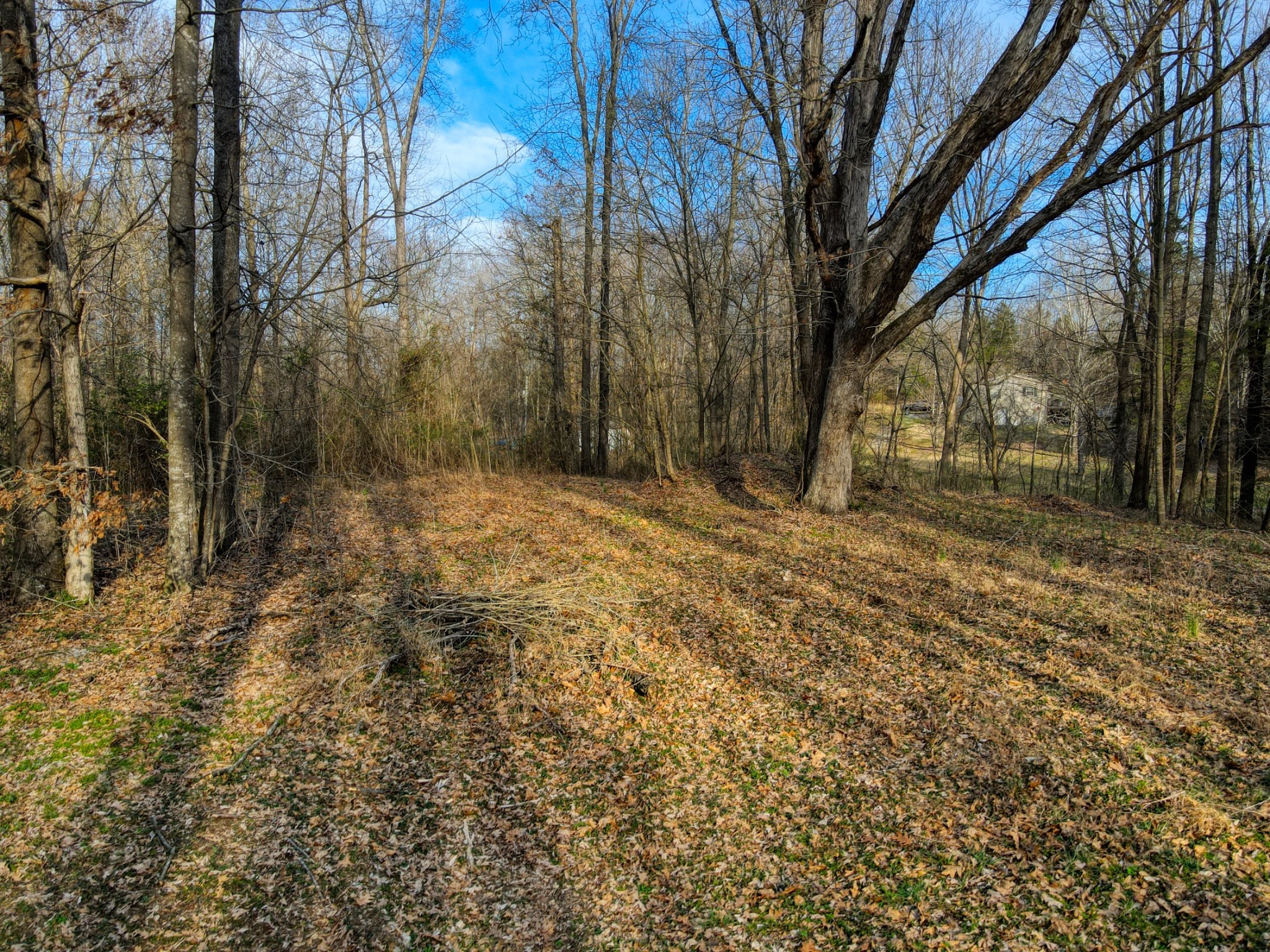 0 Muskie Way Scottsville KY 42164
