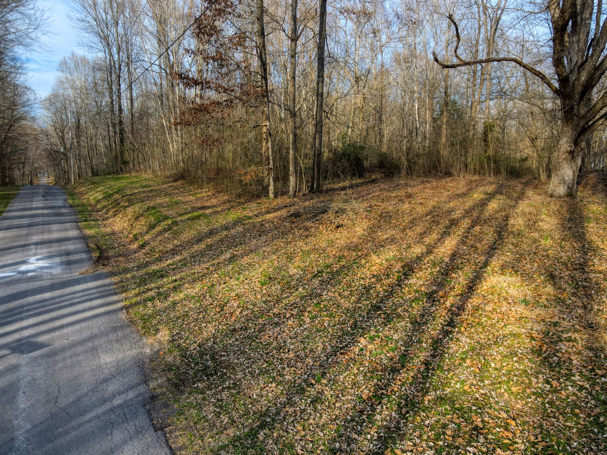 0 Muskie Way Scottsville KY 42164