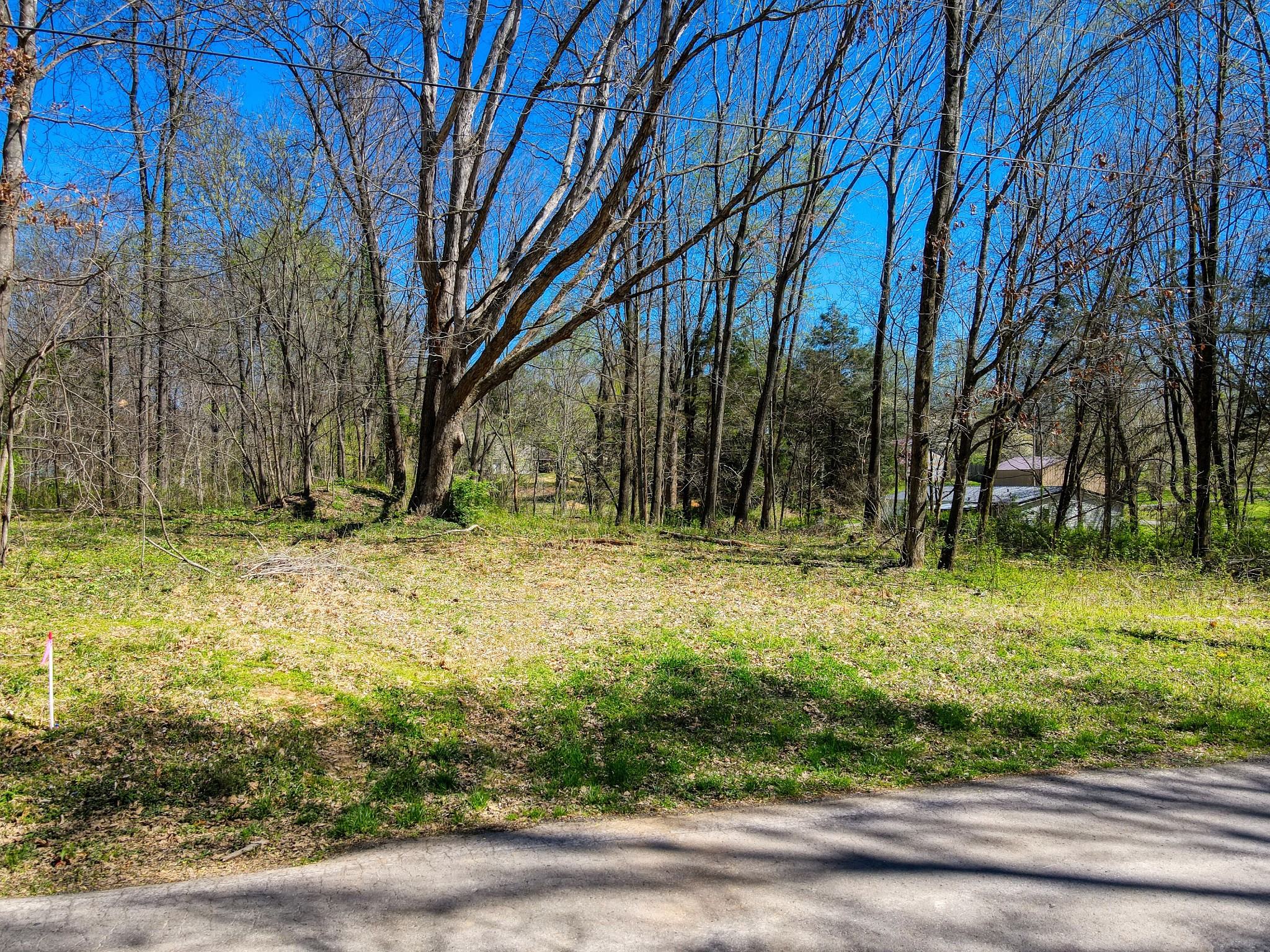 0 Muskie Way Scottsville KY 42164