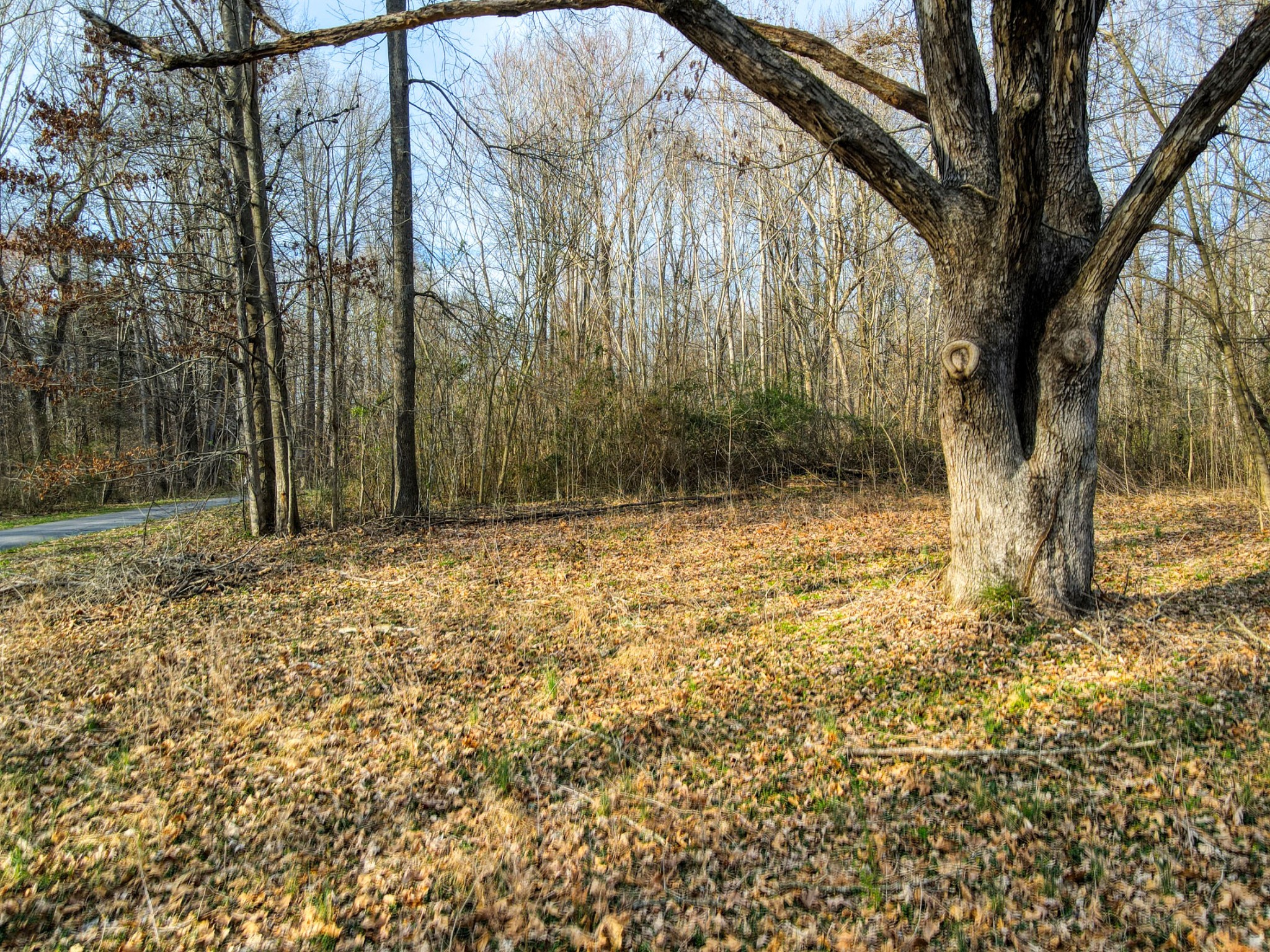 0 Muskie Way Scottsville KY 42164