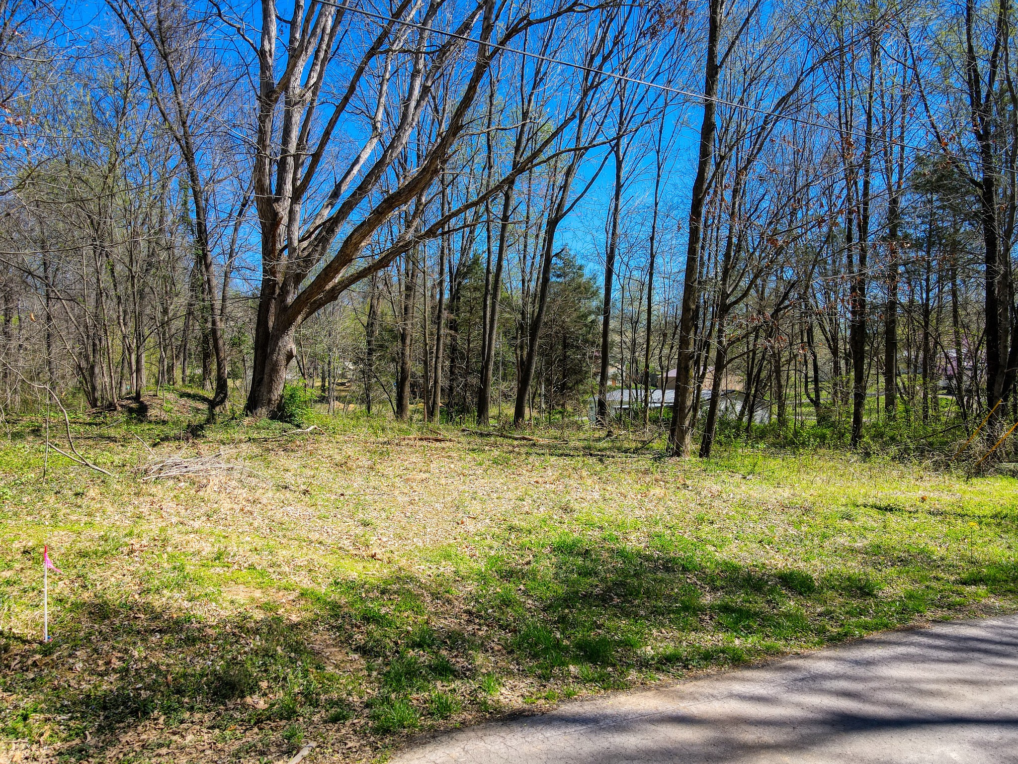0 Muskie Way Scottsville KY 42164