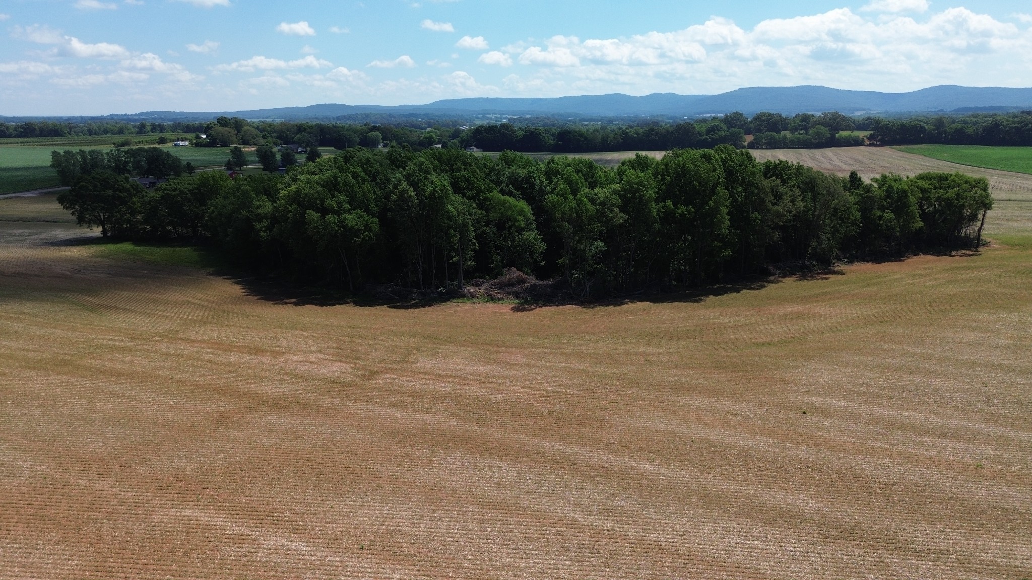 0 Collins Lane Huntland TN 37345