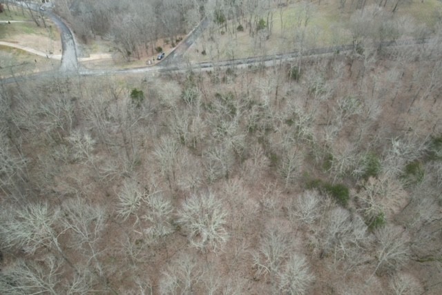 0 Maury Lane Smithville TN 37166