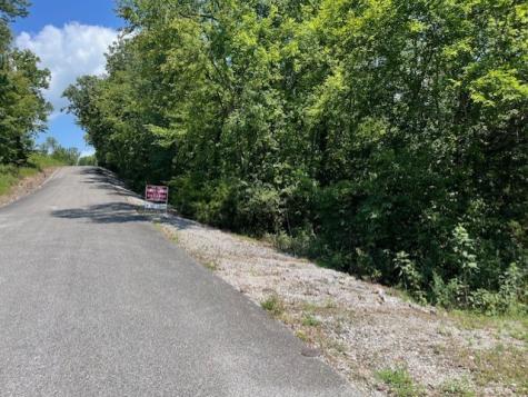 0 Maury Lane Smithville TN 37166