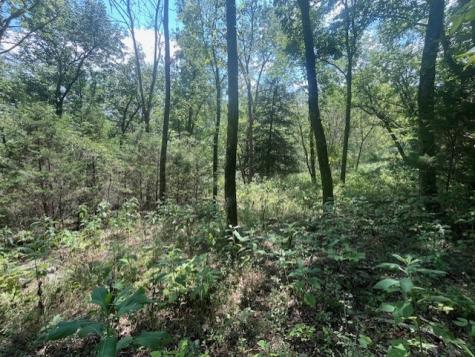 0 Maury Lane Smithville TN 37166