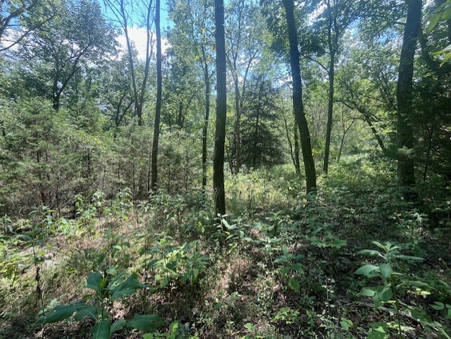 0 Maury Lane Smithville TN 37166