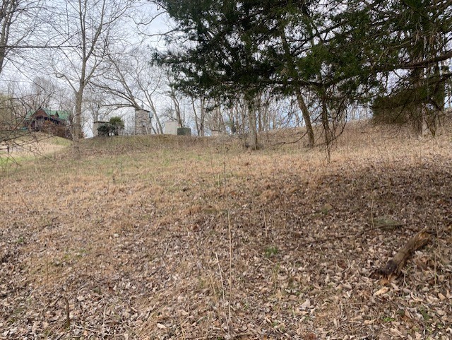0 Maury Lane Smithville TN 37166