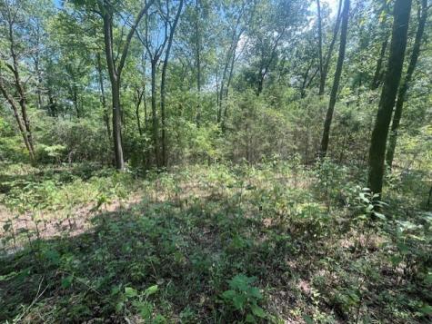 0 Maury Lane Smithville TN 37166