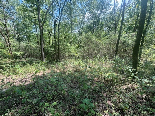 0 Maury Lane Smithville TN 37166