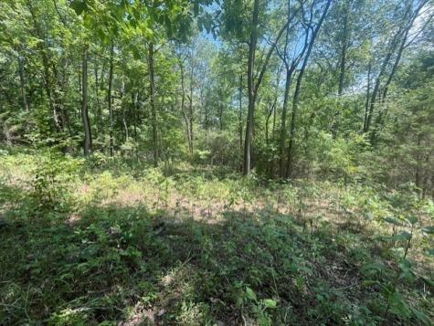 0 Maury Lane Smithville TN 37166