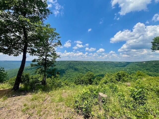 615 Cumberland Circle Jasper TN 37347