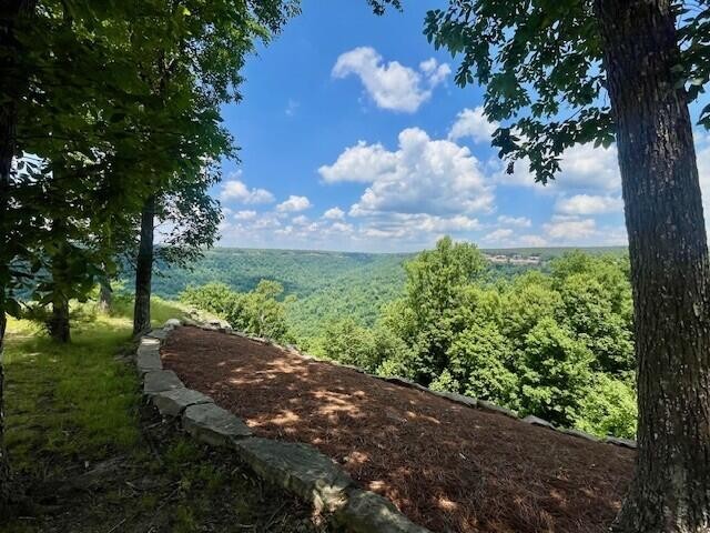 615 Cumberland Circle Jasper TN 37347