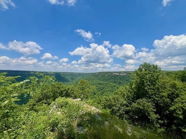 615 Cumberland Circle Jasper TN 37347