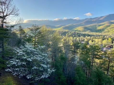 429 Deer Path Lane Gatlinburg TN 37738