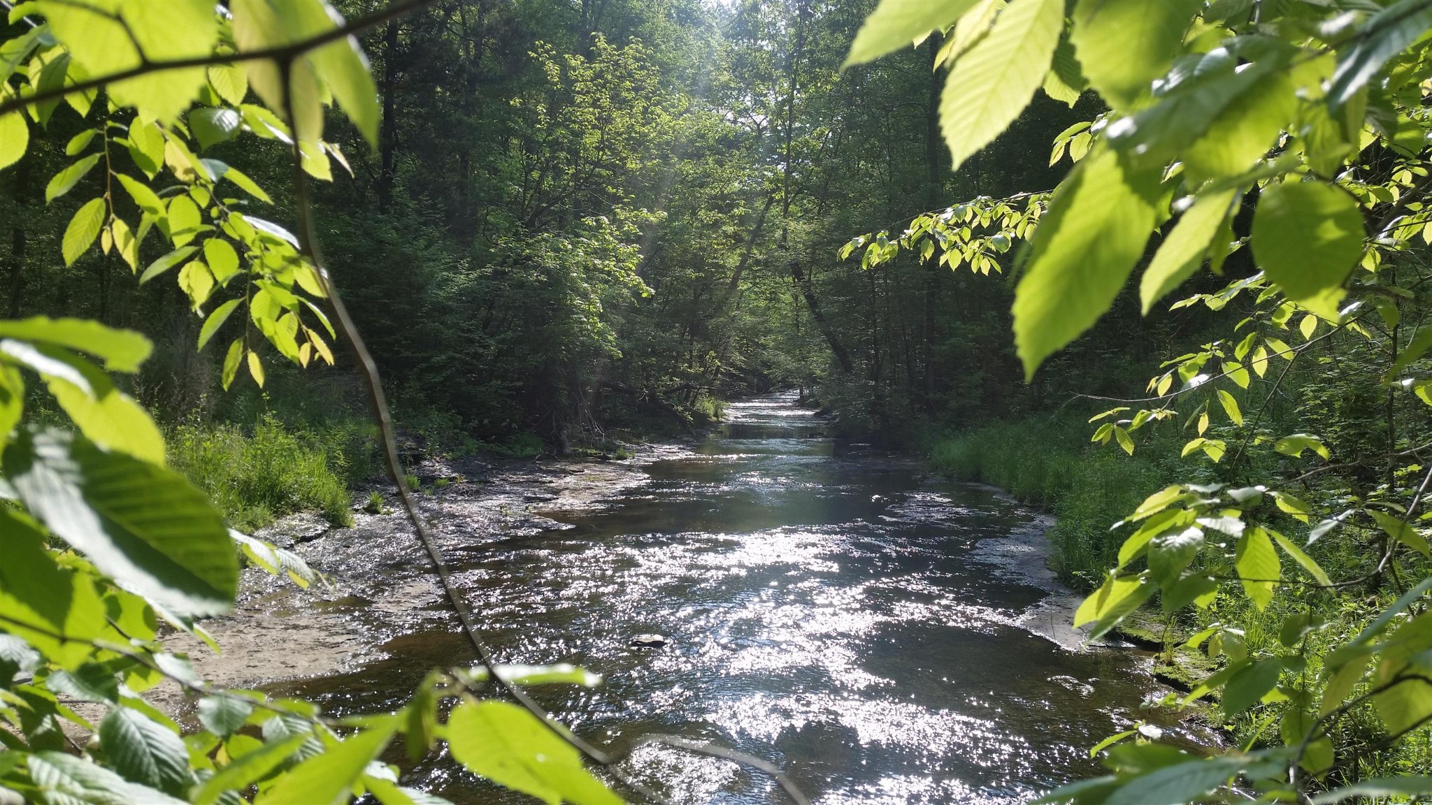 7454 Sugar Camp Hollow Road Fairview TN 37062