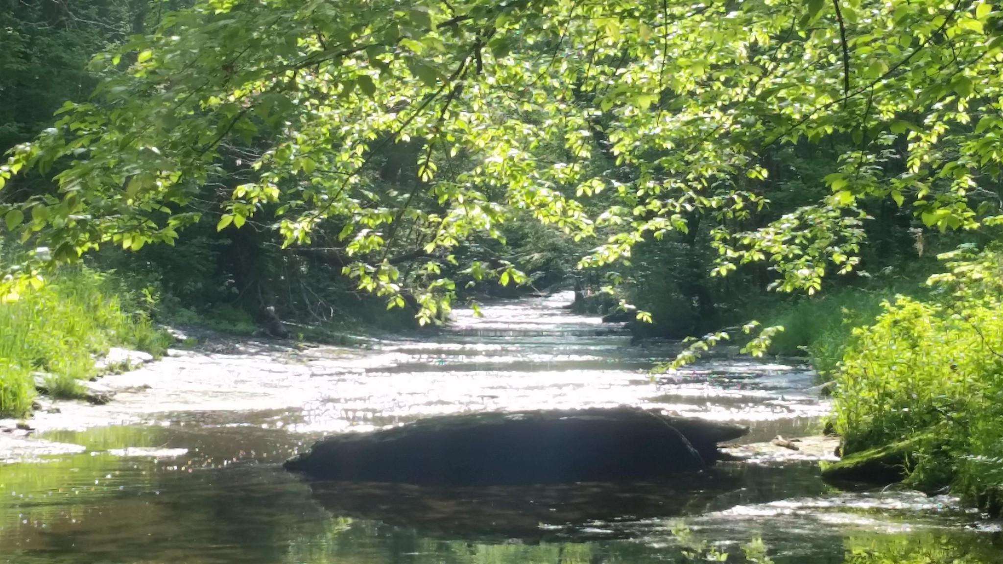7454 Sugar Camp Hollow Road Fairview TN 37062