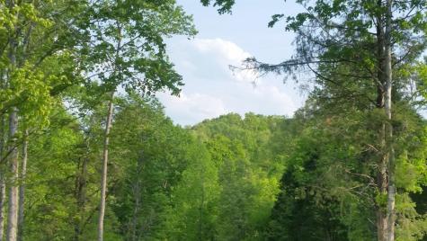 7454 Sugar Camp Hollow Road Fairview TN 37062