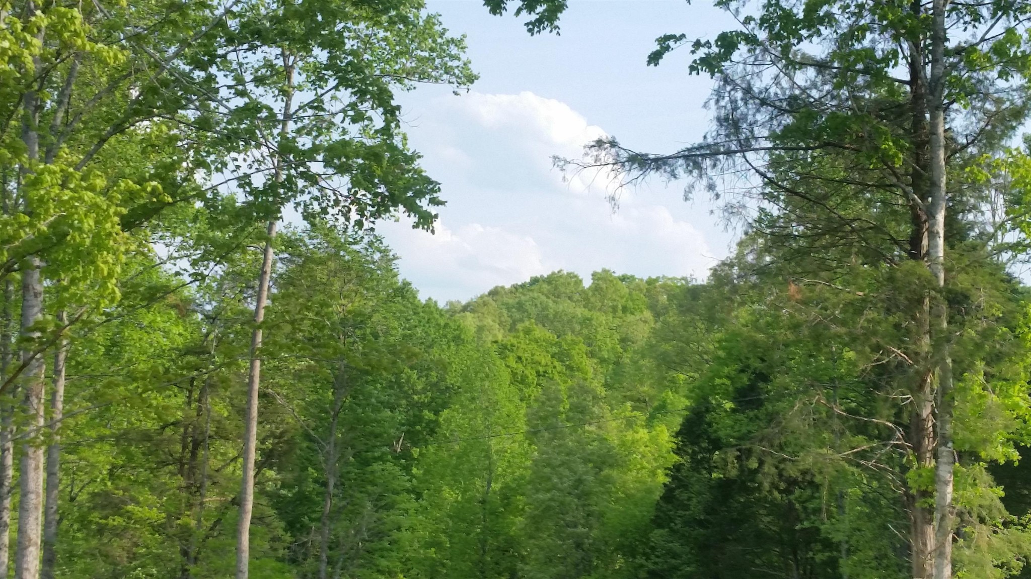 7454 Sugar Camp Hollow Road Fairview TN 37062