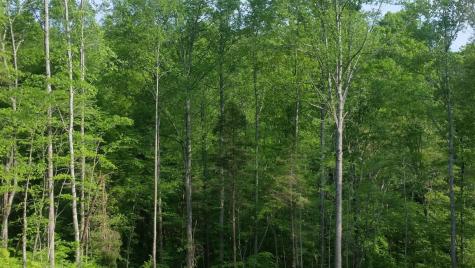 7454 Sugar Camp Hollow Road Fairview TN 37062
