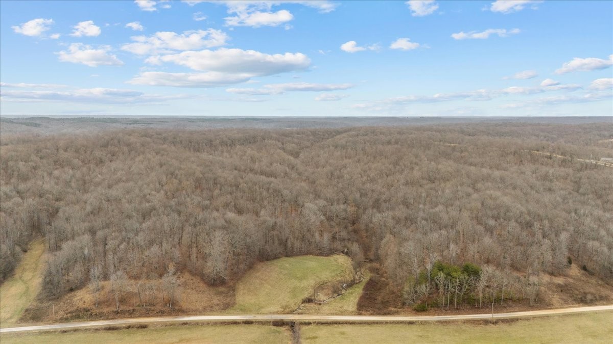 0 Jack Saunder Road Waverly TN 37185