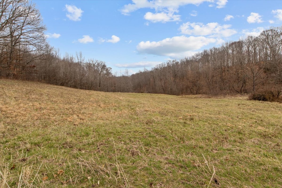 0 Jack Saunder Road Waverly TN 37185