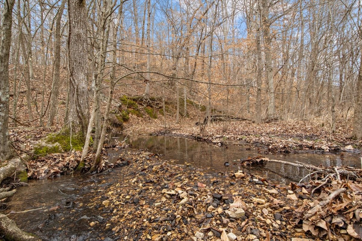 0 Jack Saunder Road Waverly TN 37185
