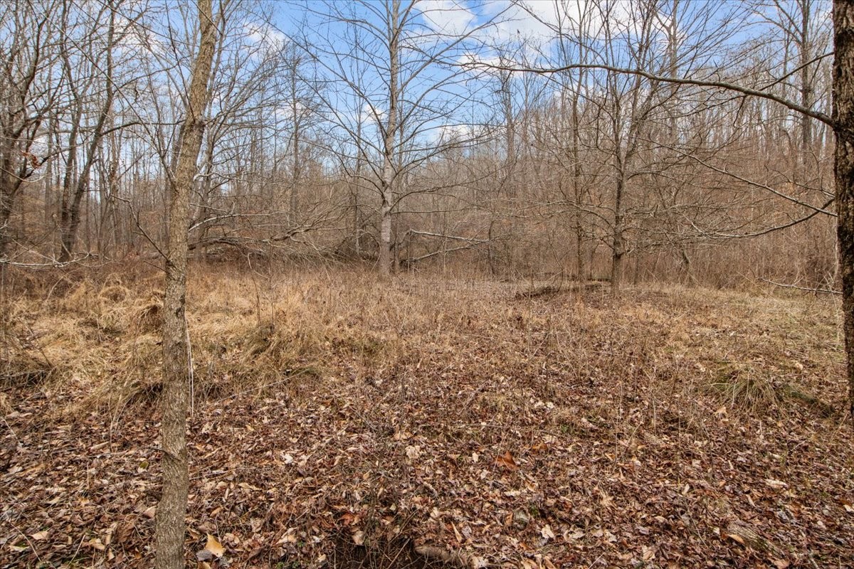 0 Jack Saunder Road Waverly TN 37185