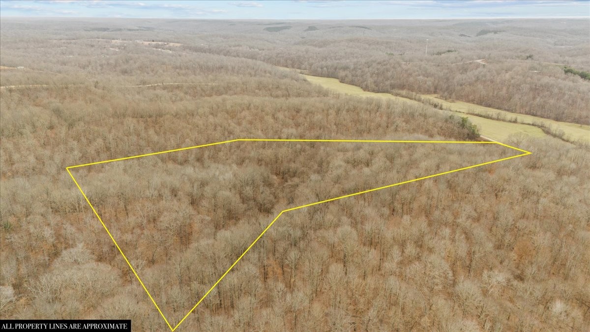 0 Jack Saunder Road Waverly TN 37185