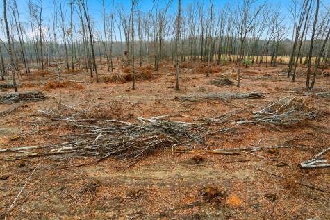 0 Whitaker Road Belvidere TN 37306