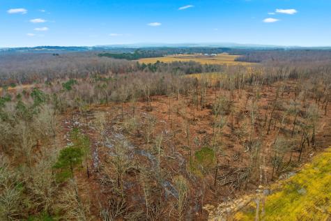 0 Whitaker Road Belvidere TN 37306