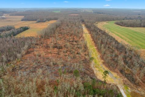 0 Whitaker Road Belvidere TN 37306