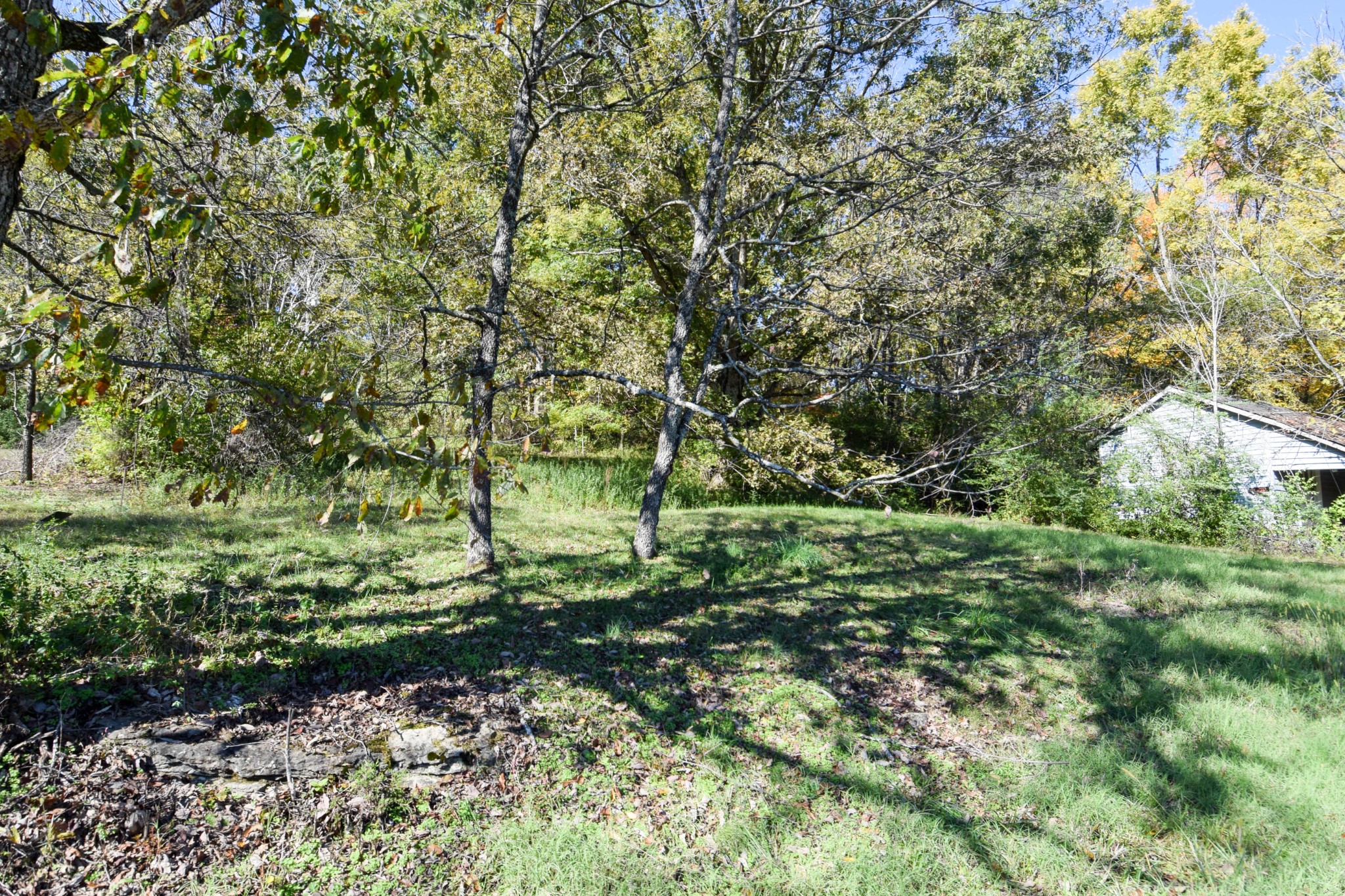 119 Old Dobbins Pike Gallatin TN 37066
