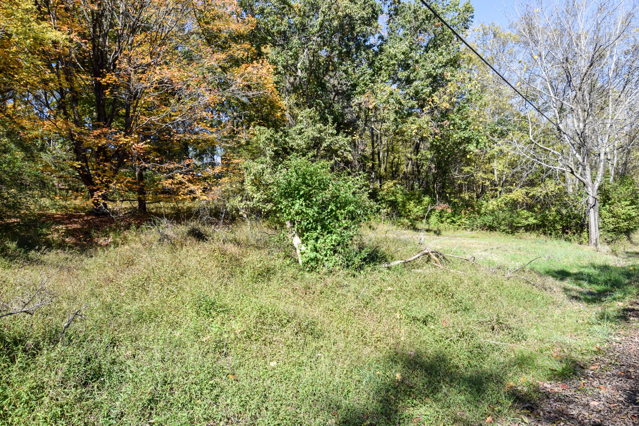 119 Old Dobbins Pike Gallatin TN 37066