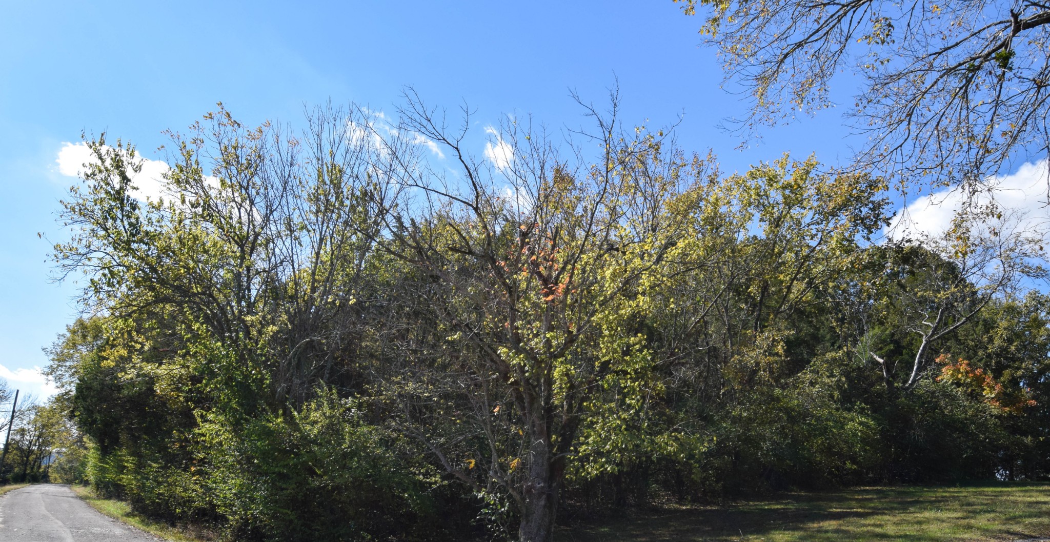 119 Old Dobbins Pike Gallatin TN 37066