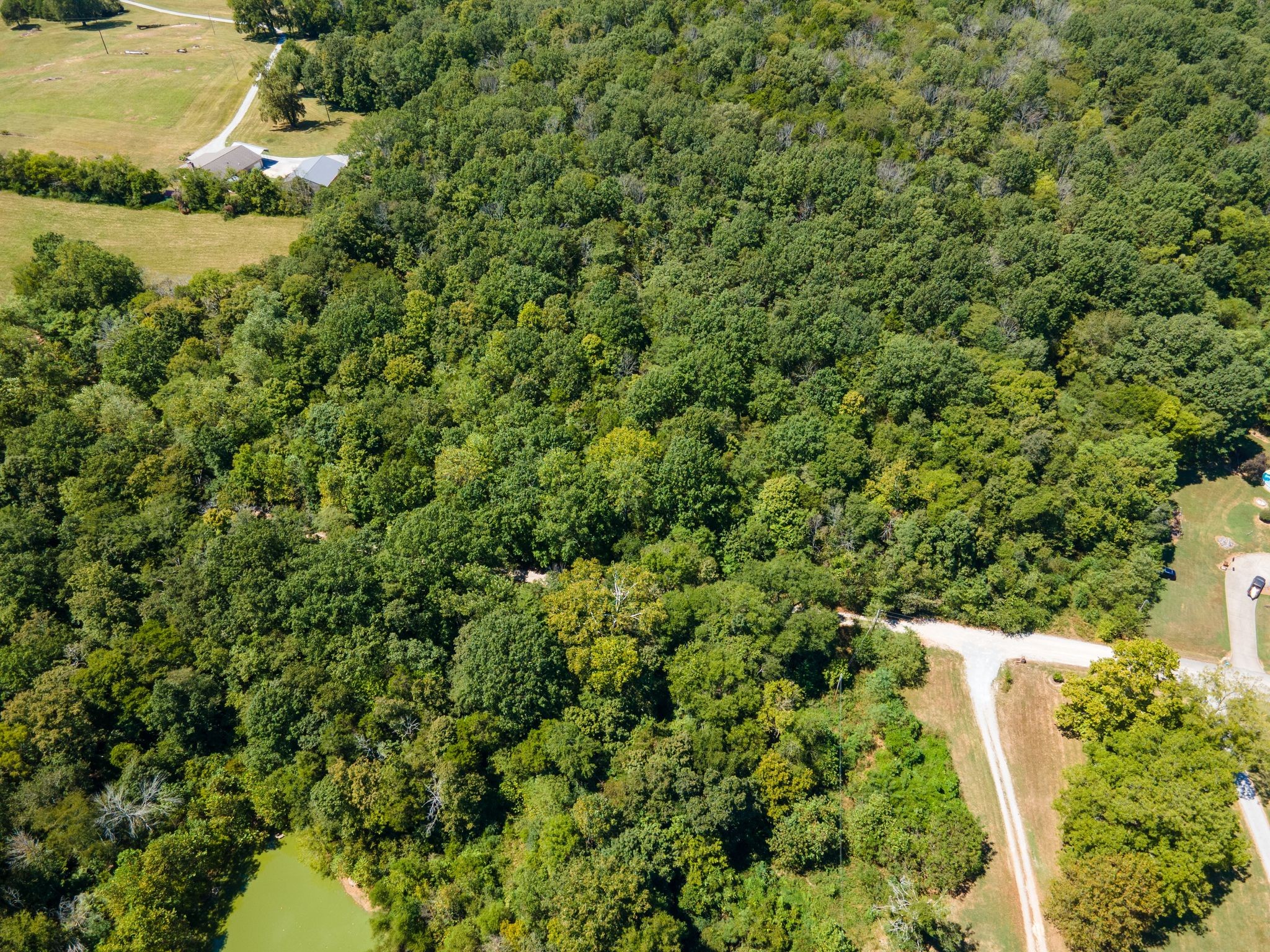 0 Shapiro Trail Columbia TN 38401