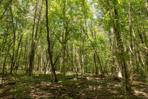 0 Shapiro Trail Columbia TN 38401