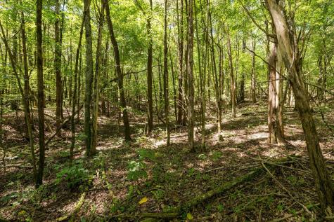 0 Shapiro Trail Columbia TN 38401