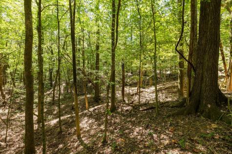 0 Shapiro Trail Columbia TN 38401