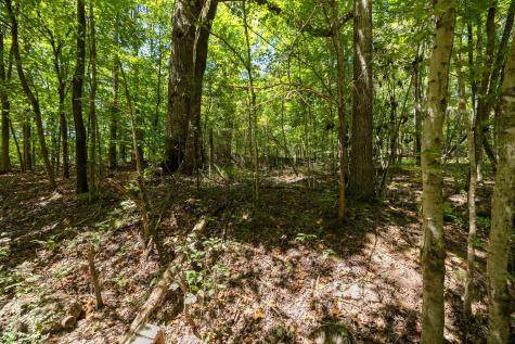 0 Shapiro Trail Columbia TN 38401